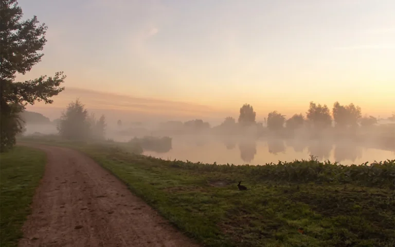 En väg förbi en sjö